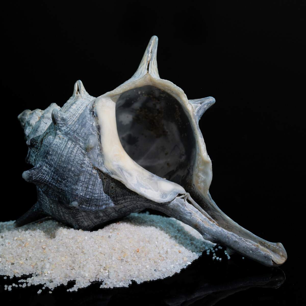 En Veille album cover