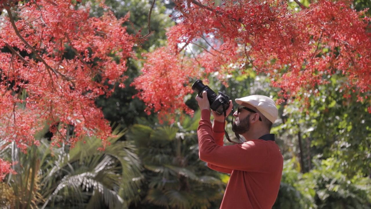 Invisible Other cover